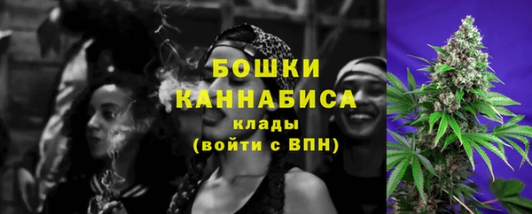PSILOCYBIN Белокуриха