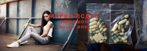 PSILOCYBIN Белокуриха