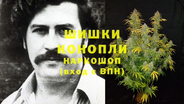 PSILOCYBIN Белокуриха