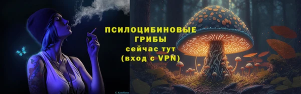 PSILOCYBIN Белокуриха