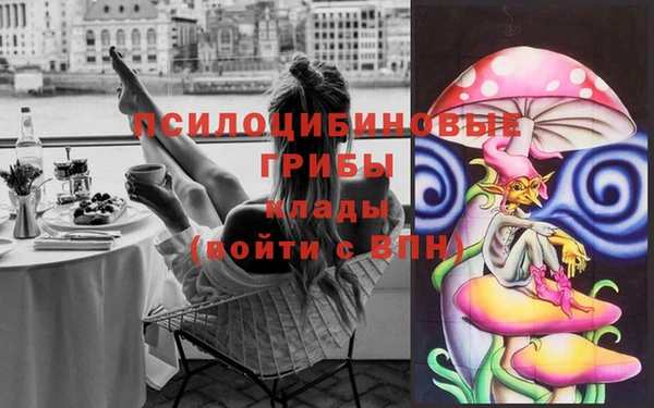 мдпв Беломорск