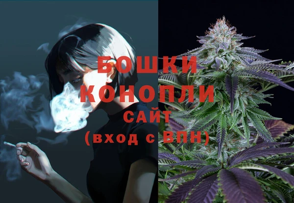 PSILOCYBIN Белокуриха