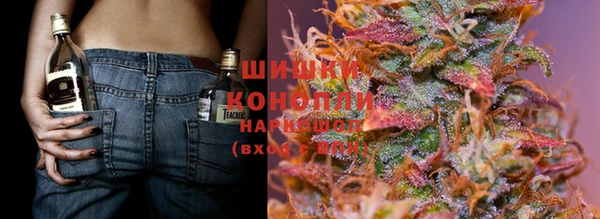 PSILOCYBIN Белокуриха
