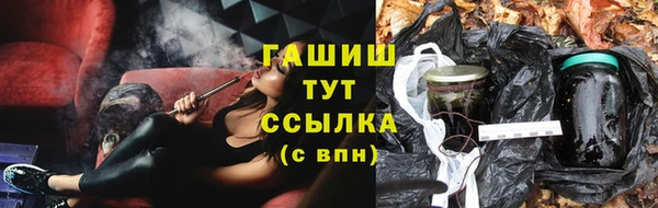 PSILOCYBIN Белокуриха