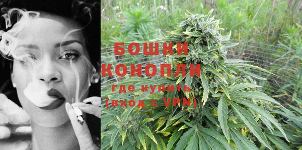 PSILOCYBIN Белокуриха